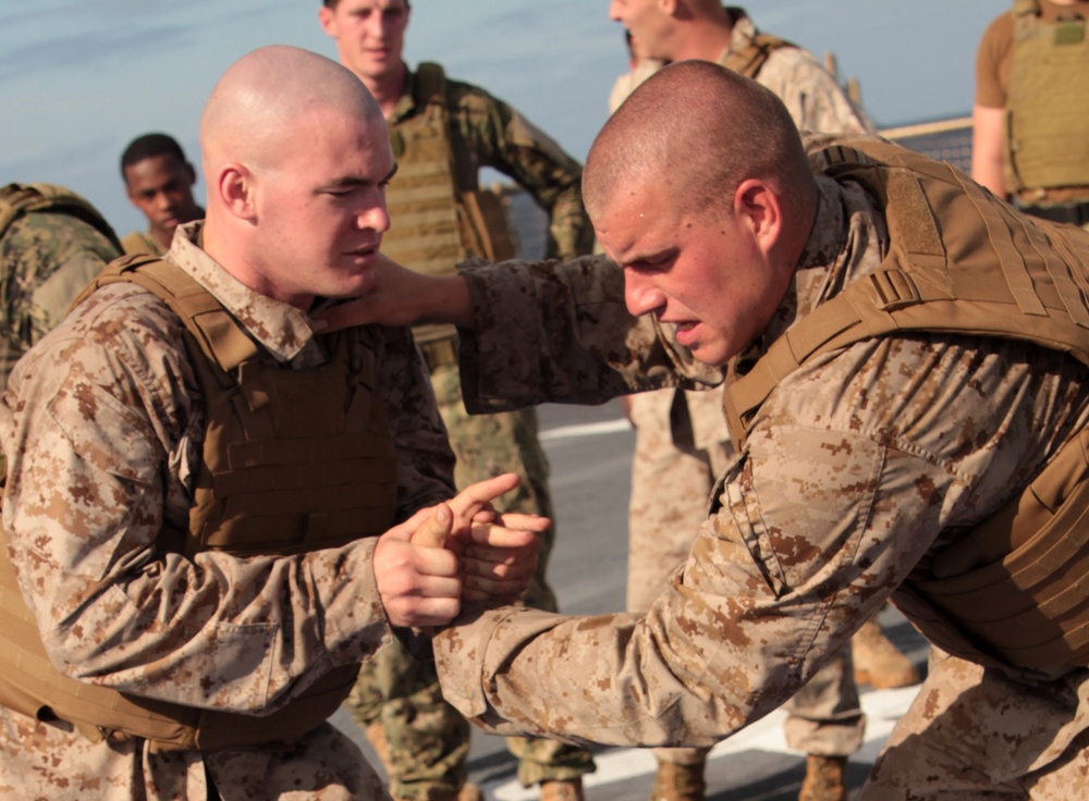 APS-12: Marines, Riverines come together through MCMAP