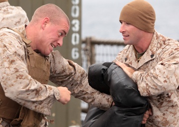 APS-12: Marines, Riverines come together through MCMAP