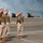 USMC Lt. Gen. Thiessen Retirement/MARFORPAC COC