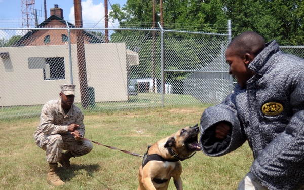 Four-legs makes the best partner, friend