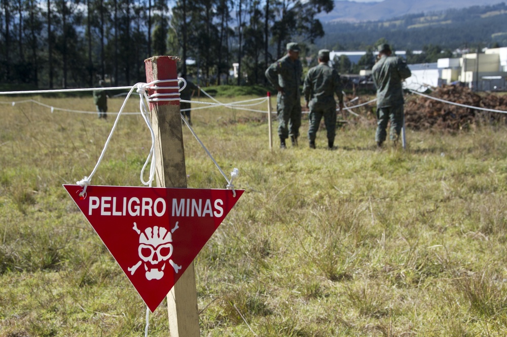 Humanitarian demining