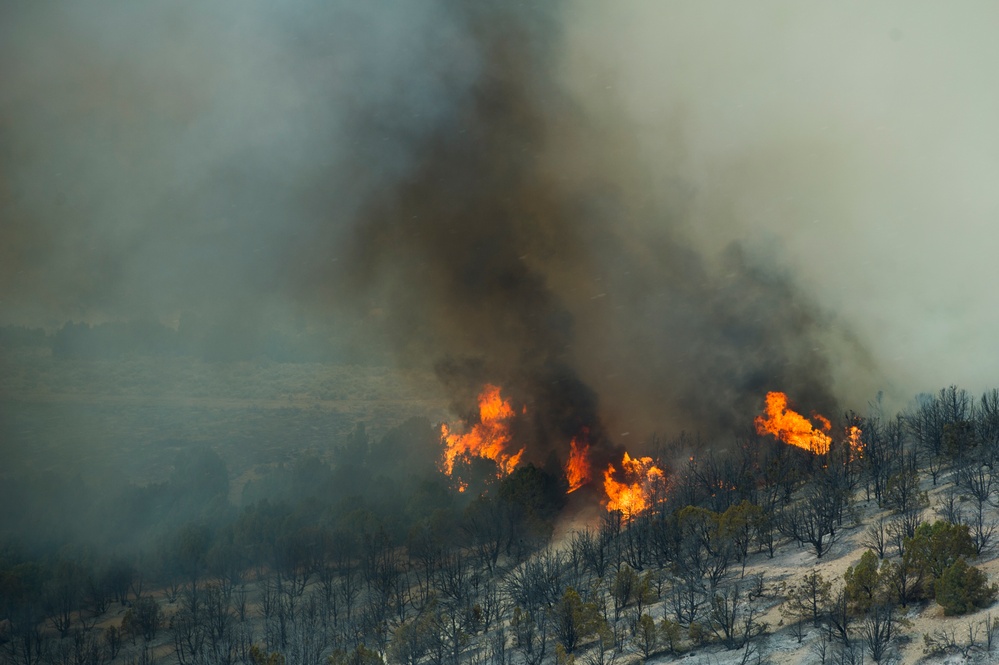 Forest fire on Camp Williams