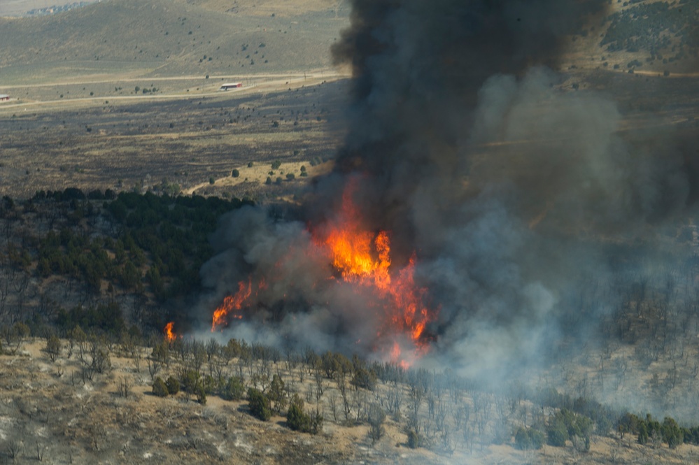 Forest fire on Camp Williams