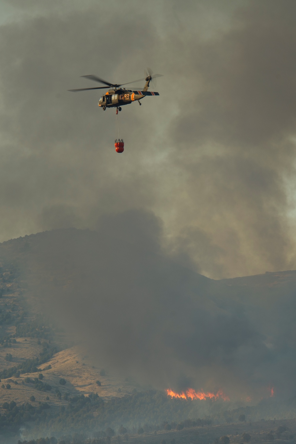 Forest fire on Camp Williams