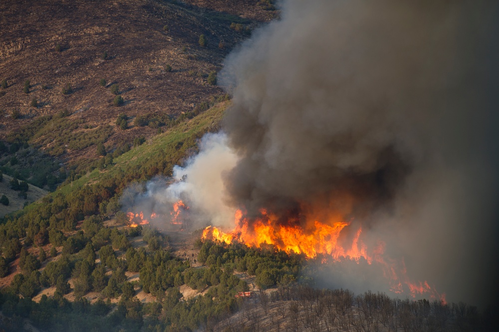 Forest fire on Camp Williams