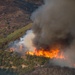 Forest fire on Camp Williams