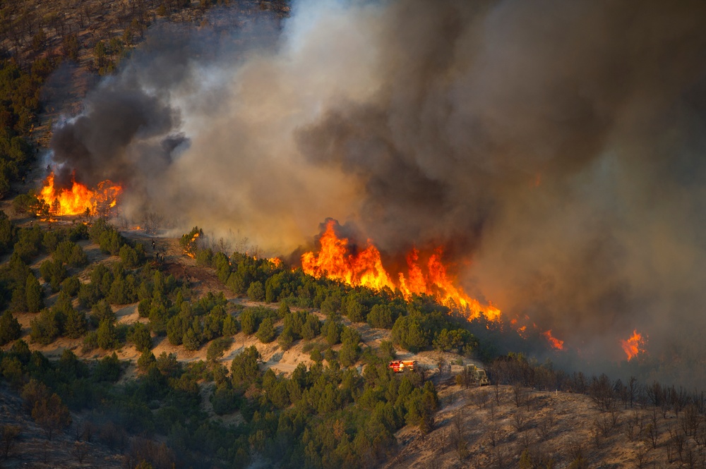 Forest fire on Camp Williams