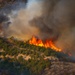 Forest fire on Camp Williams