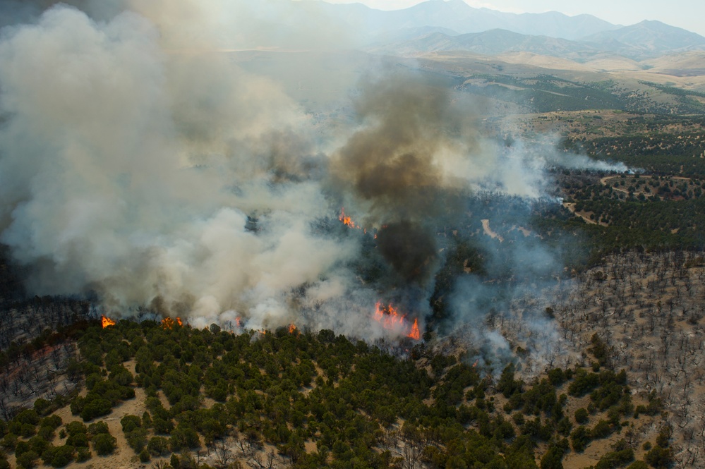 Forest fire on Camp Williams