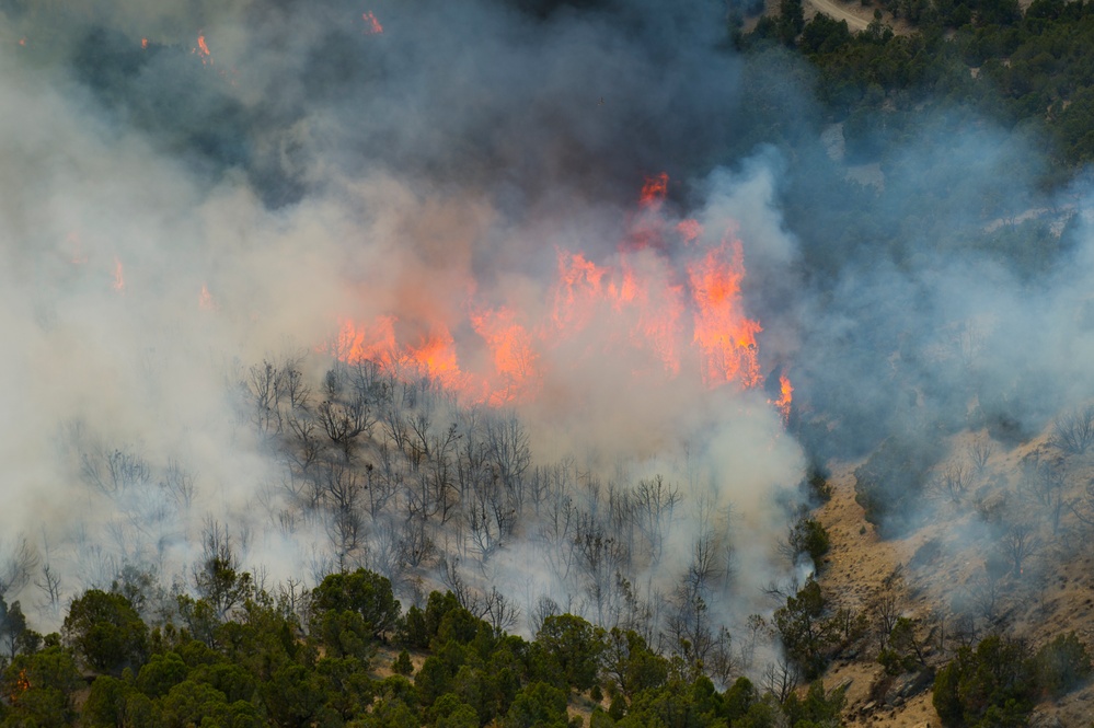 Forest fire on Camp Williams