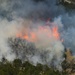 Forest fire on Camp Williams