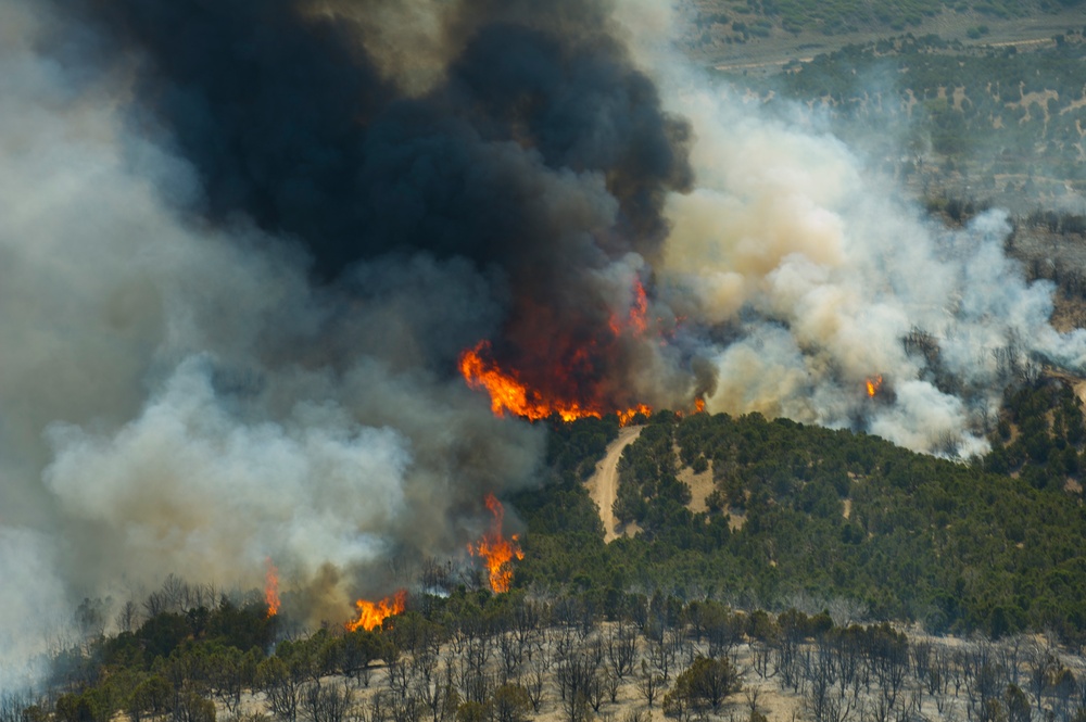 Forest fire on Camp Williams