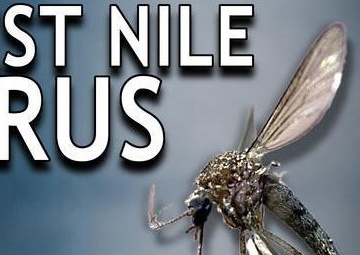 West Nile Virus detected on post; experts offer preventive tips