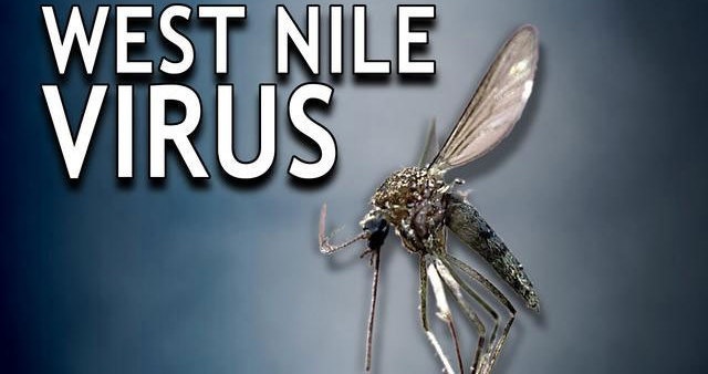West Nile Virus detected on post, experts offer preventive tips