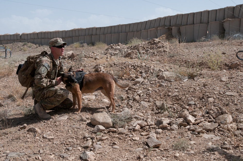 Ohio native, K-9 sidekick help change fight in Afghanistan