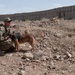 Ohio native, K-9 sidekick help change fight in Afghanistan