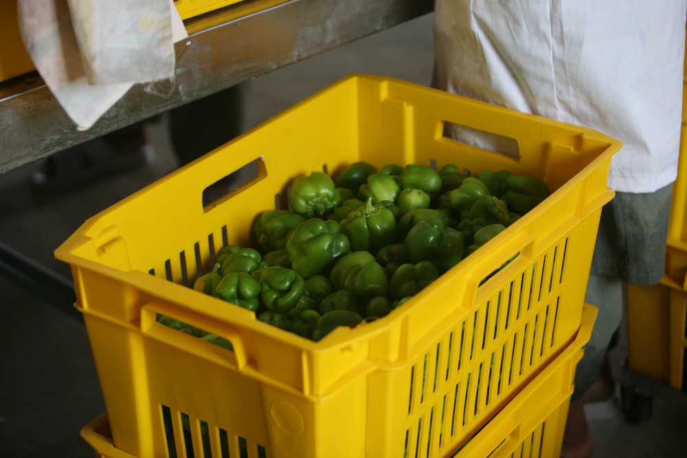 Farmer's Bazaar in Marjah