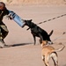 US vets teach K-9 care to BDF military police