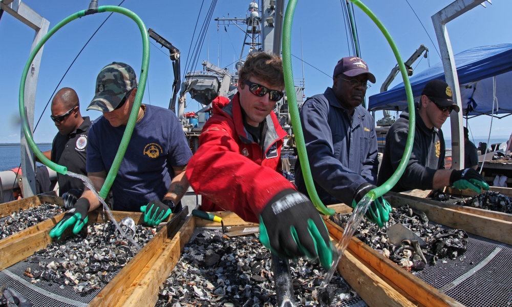 US Navy divers search for the remains of 5 un-accounted for service members from 1942