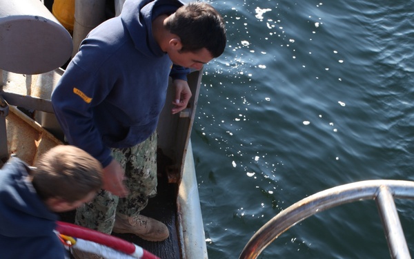 US Navy divers search for the remains of five un-accounted for service members from 1942
