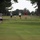 A hole-in-one