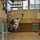 Enjoying some hang time