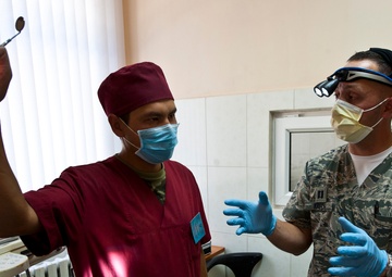 TCM, Kyrgyz Republic dentists share common bond