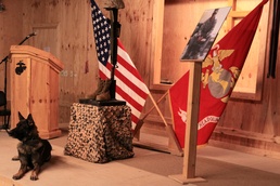 Marines bid farewell to friend, brother