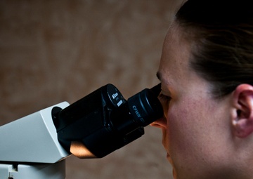 What do you want to be when you grow up?