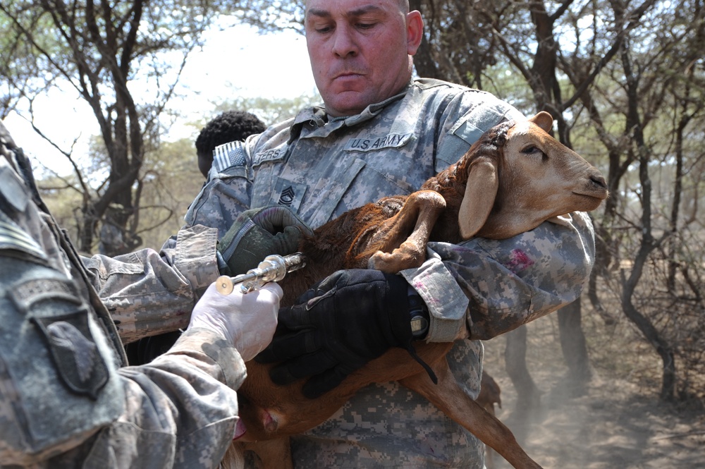 VETCAP in Kenya