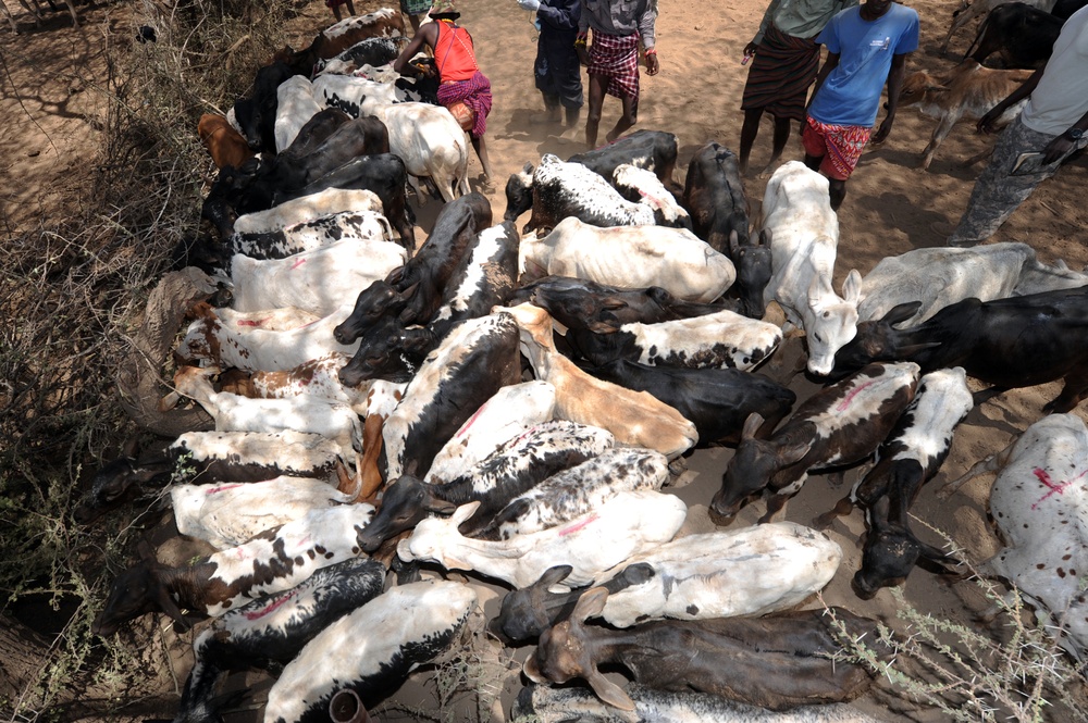 VETCAP in Kenya
