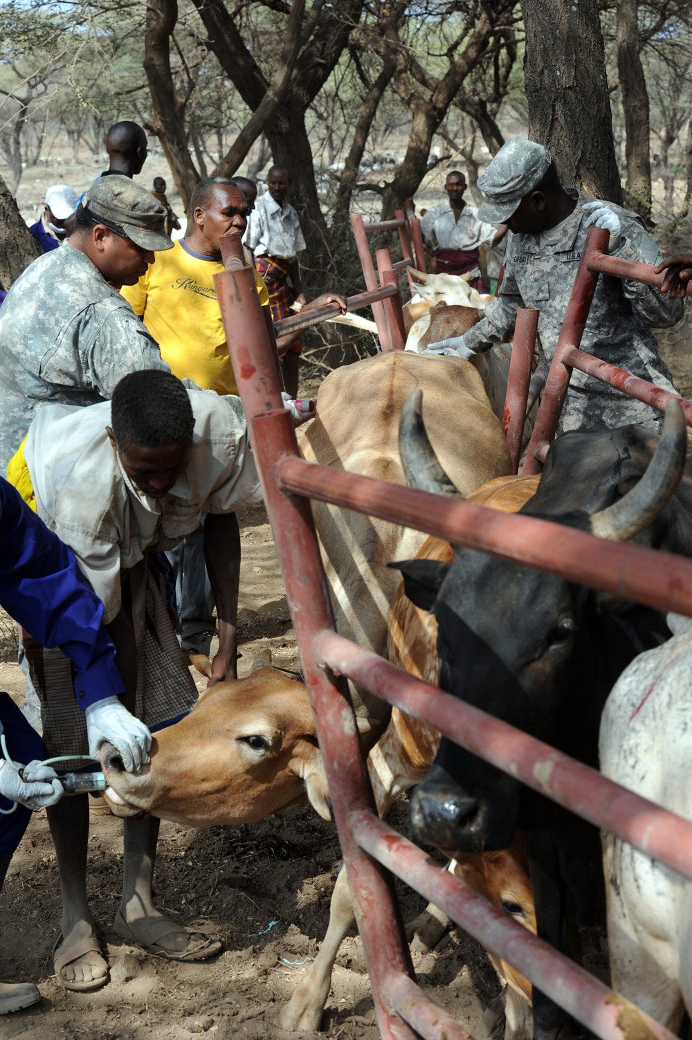 VETCAP in Kenya