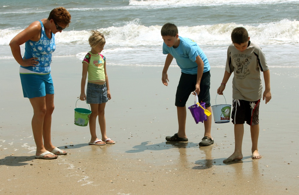 Participants search for shells on the beach