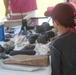 A child examines shells and fossils