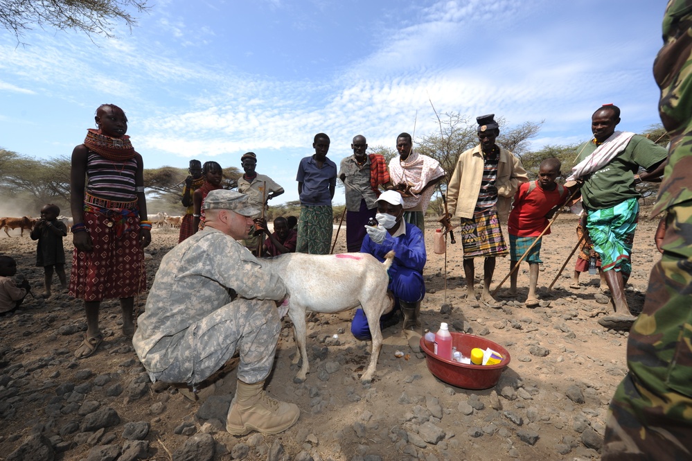 CA team assists with Kenya VETCAP, grabs ‘bull by the horns’