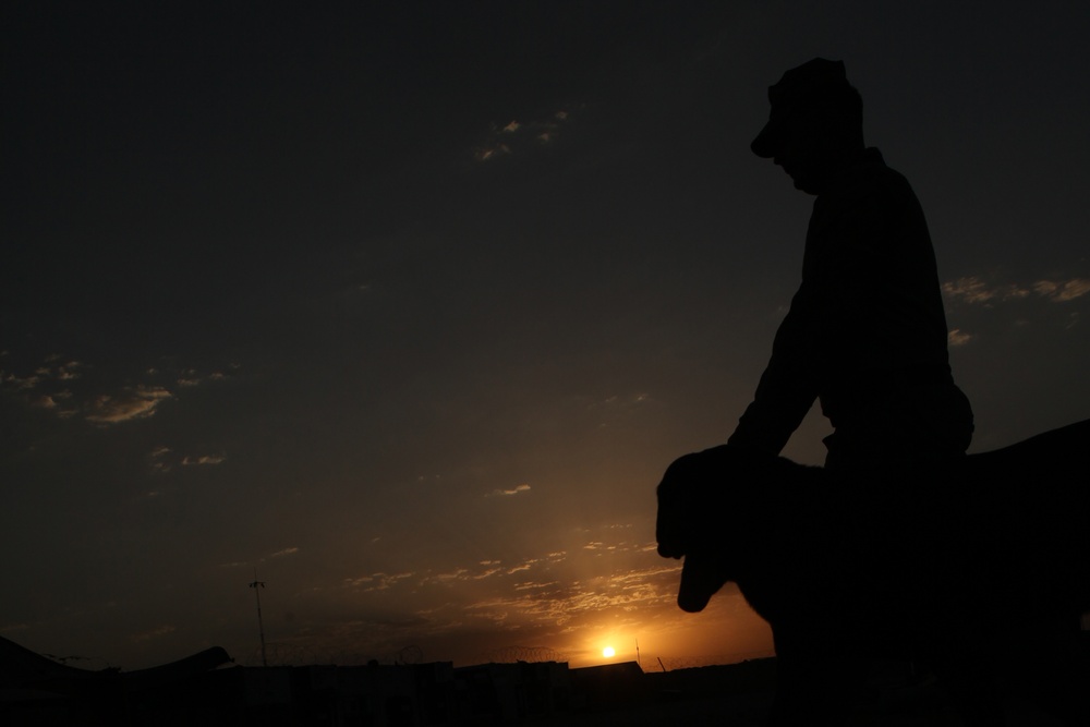 Improvised explosive device detection dog training on FOB Geronimo