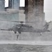 New York Air National Guard conducts water rescue demonstration in New York City