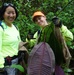 Hunting Noxious Evasive Miconia with the Hawaii Army National Guard Environmental office
