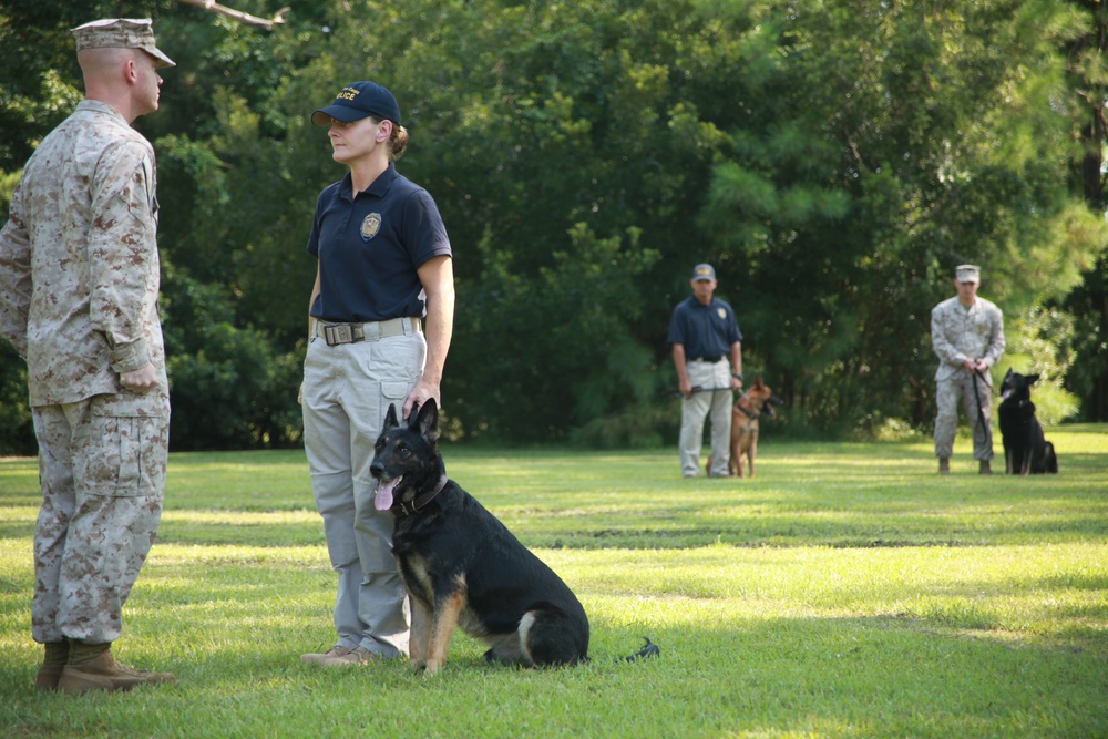 Military working dog bids Marine Corps farewell
