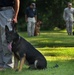 Military working dog bids Marine Corps farewell