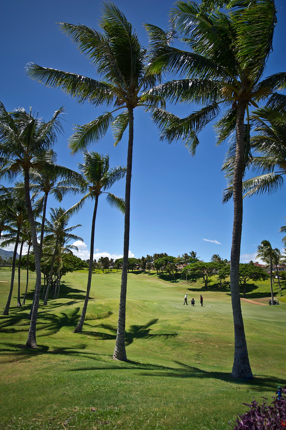 Hawaii Wounded Warrior Golf Tournament