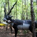 Bowhunter challenge honors memory of fallen SEAL