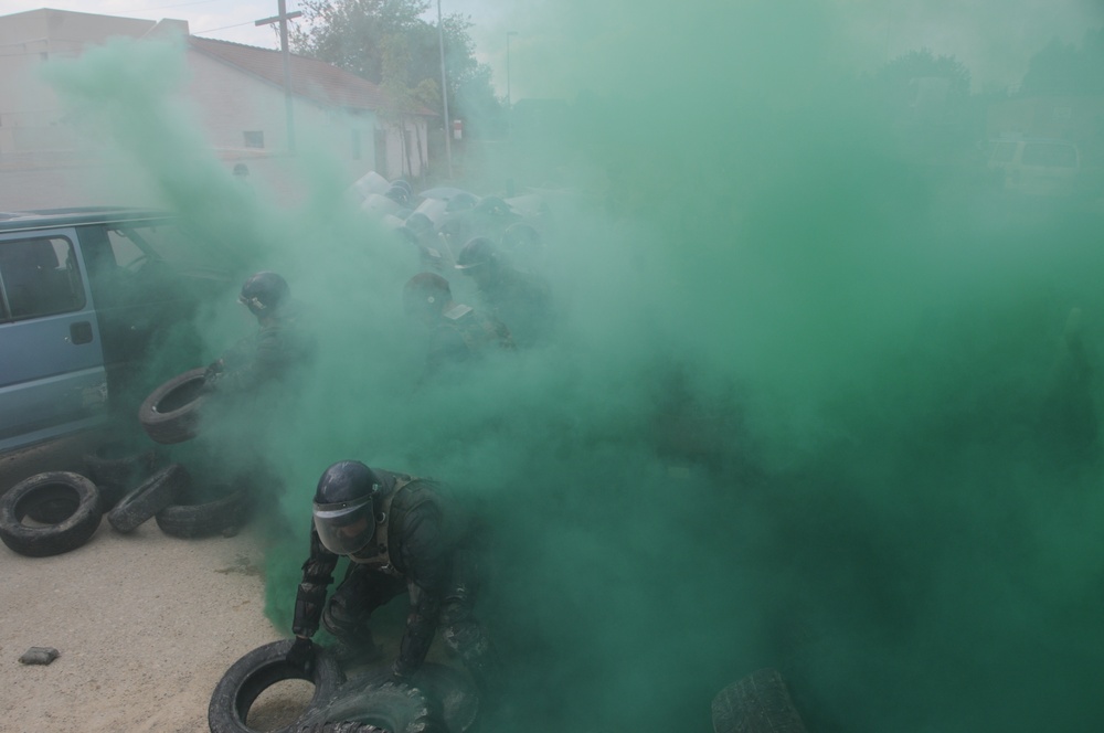 Kosovo Forces Training Exercise XVI