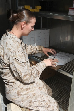 Medical Logistics Detachment team maintains supplies throughout Helmand Province
