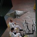 Cleveland Navy Week 2012