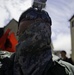 Kosovo Force 16