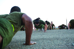 Company with MWSS 371 go on a run