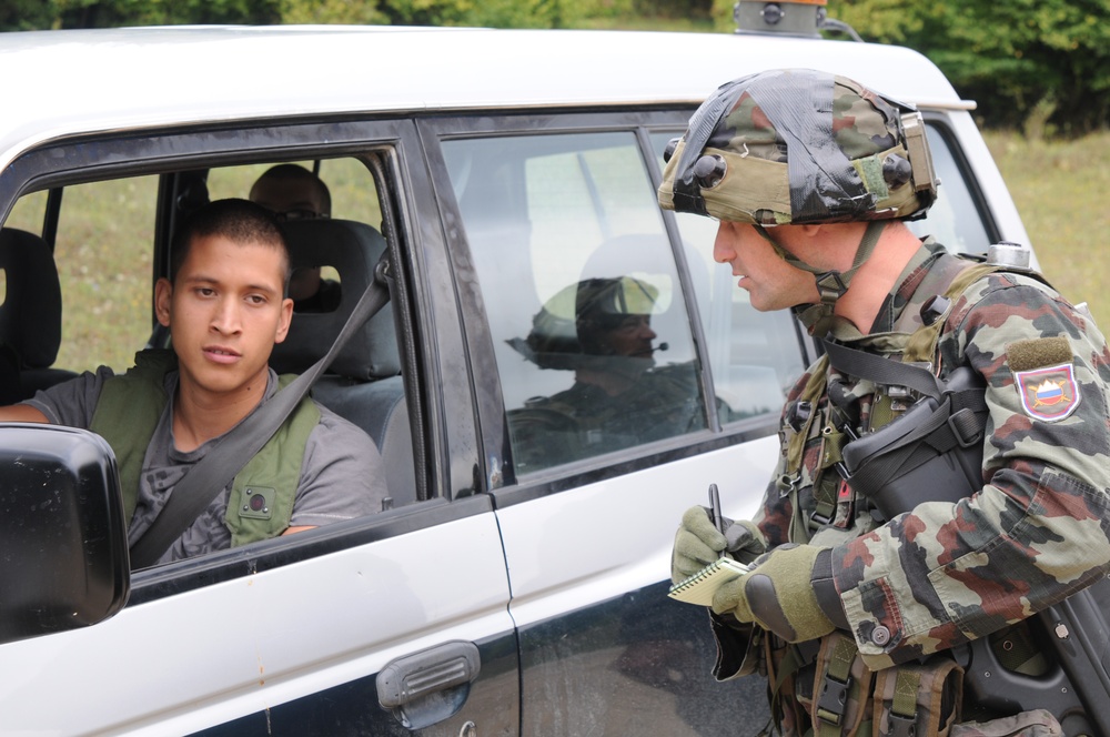 Kosovo Forces Training Exercise XVI