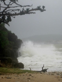 Preparations prevent typhoon damage