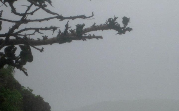 Preparations prevent typhoon damage